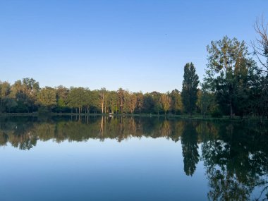 Sakin bir göl manzarası, açık mavi gökyüzünün altındaki ağaçları yansıtıyor. Guesnes, Vienne, Fransa.