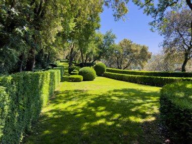 Fransa 'nın Dordogne bölgesinde manikürlü çitleri ve çalı ağaçları olan güzel bir bahçe huzurlu ve huzurlu bir atmosfer yaratıyor.
