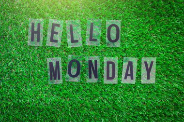 Pazartesi yeşil çimlerin üzerinde kelime merhabası.