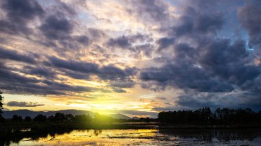 Güneş batmadan önce pirinç tarlasının kenarında renkli bir alacakaranlık var..