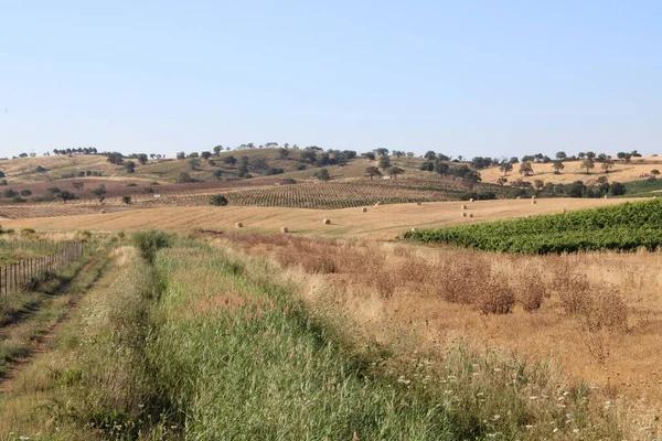 País Toscano Perto Orbetello Itália — Fotografia de Stock