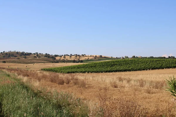 País Toscano Perto Orbetello Itália — Fotografia de Stock