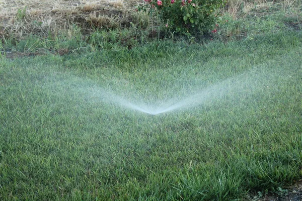 Lawn Irrigation System Spraying Water Lawn Very Hot Weather — Stock Photo, Image