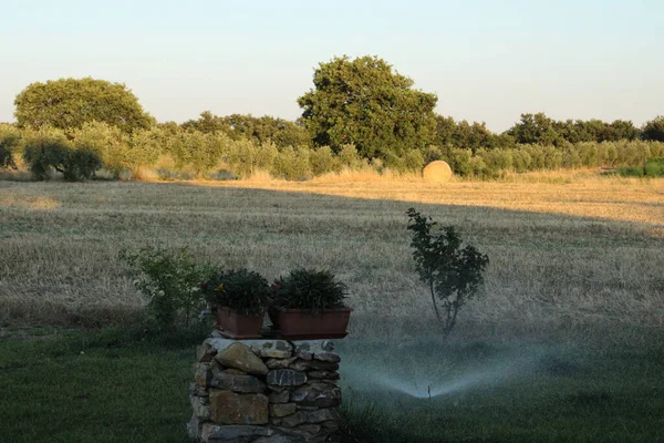 Sistema Irrigação Relva Pulverizando Água Gramado Tempo Muito Quente — Fotografia de Stock
