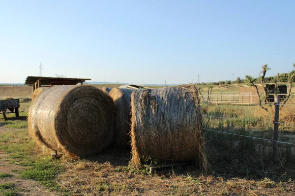 Toskánská Země Poblíž Orbetella Itálie — Stock fotografie