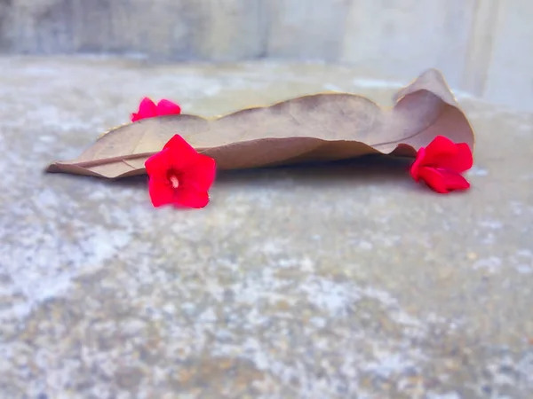 kuru yaprak yere düştü..