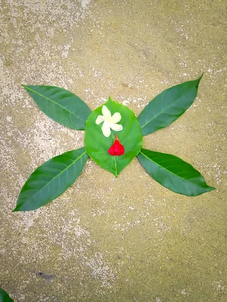 Yeşil yapraklar ve çiçekler yere düştü..