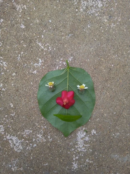 Yaprak ve Çiçekler yere düştü ya da doğanın pürüzsüz yüzü,.