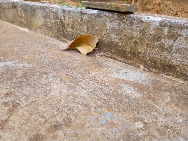 Yere kuru bir yaprak düştü..