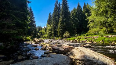 Sumava 'nın Vydra Nehri
