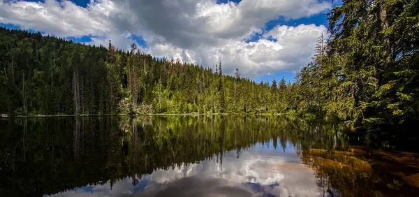 Prasilské Jezero Šumavě — Stock fotografie