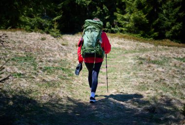 Sırt çantalı kadın yürüyüşçü ve dağlarda yürüyen yürüyüş direkleri. Doğadaki macera yaşam tarzı. Güneşli bir günde orman patikalarını keşfeden aktif bir kadın..