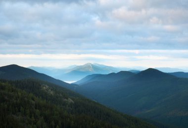 Dağların yaz arkaplanı. Kozalaklı ormanları ve yeşil yamaçları olan vahşi dağlarda nefes kesici bir yaz günü. Sabah dağlarının manzarası. Karpatya 'nın canlı manzaraları.