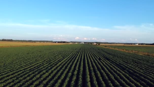 Vista Arial Campo Agricultores Cheio Culturas — Vídeo de Stock