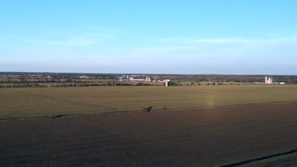 Vista Arial Campo Agricultores Cheio Culturas — Vídeo de Stock