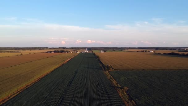 Arial Άποψη Ενός Πεδία Αγροτών Γεμάτη Από Καλλιέργεια — Αρχείο Βίντεο
