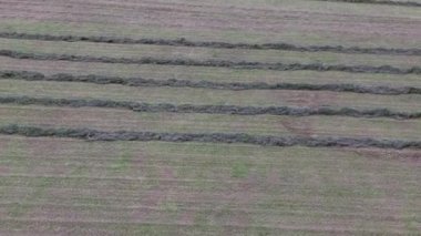 Bir çiftçi alan Arial görünümünü bir yaz gününde