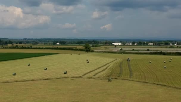 Vista Arial Campo Agricultores Dia Verão — Vídeo de Stock