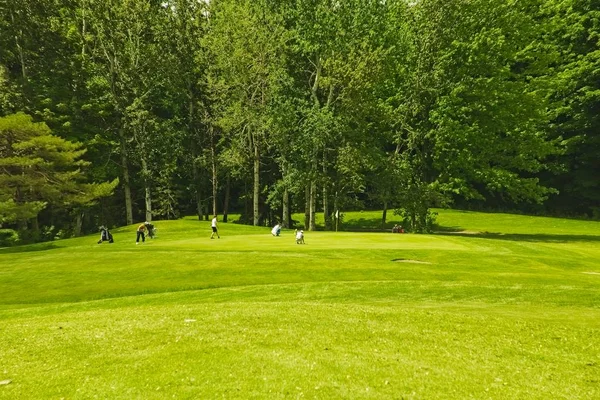 Güneşli bir günde bir golf sahası