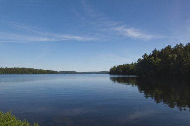 Güneşli bir günde bir gölün güzel bir görünümü