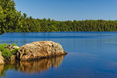 Güneşli bir günde bir gölün güzel bir görünümü