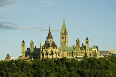 Havai fişek karanlık bir gökyüzüne karşı ayarlayın