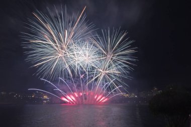 Siyah gökyüzüne karşı renkli havai fişekler