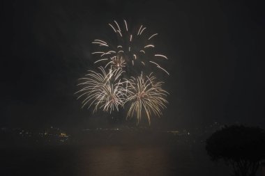 Siyah gökyüzüne karşı renkli havai fişekler