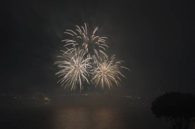 Siyah gökyüzüne karşı renkli havai fişekler