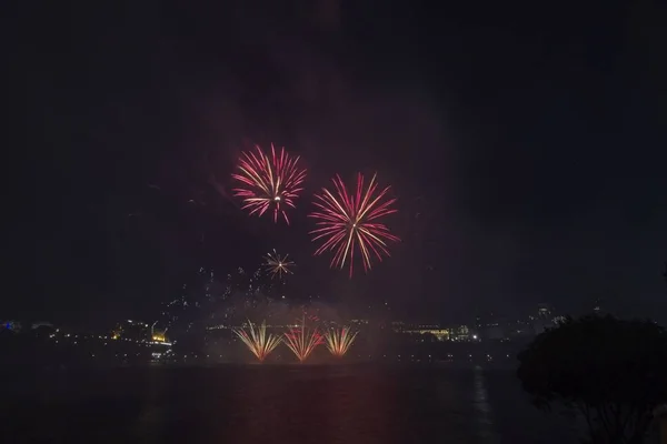 Fuegos Artificiales Colores Contra Cielo Negro — Foto de Stock