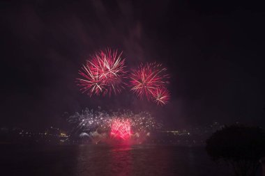 Siyah gökyüzüne karşı renkli havai fişekler
