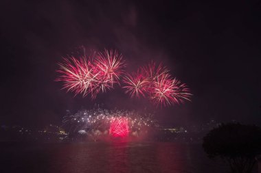 Siyah gökyüzüne karşı renkli havai fişekler