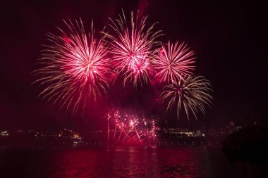 Siyah gökyüzüne karşı renkli havai fişekler