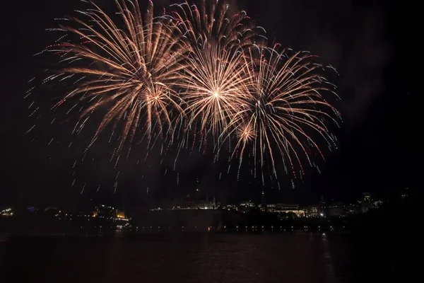 Siyah gökyüzüne karşı renkli havai fişekler