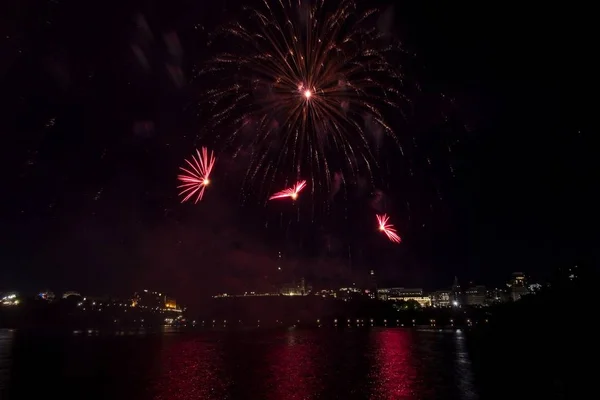 Colourful Fireworks Black Sky — Stock Photo, Image