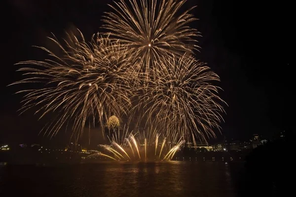 Siyah gökyüzüne karşı renkli havai fişekler
