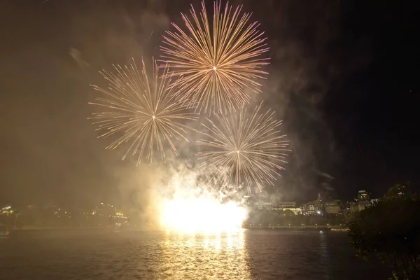 Siyah gökyüzüne karşı renkli havai fişekler