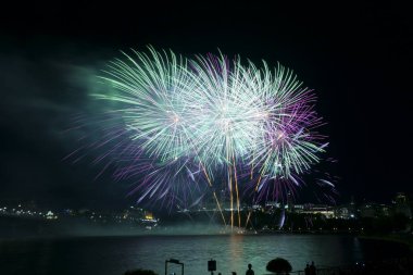 Karanlık gökyüzüne karşı renkli havai fişekler