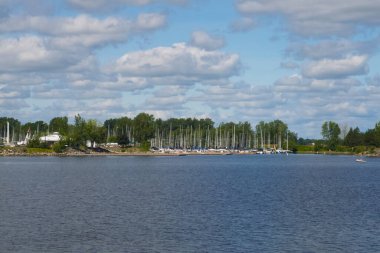 İnsanlar parkın ve nehrin tadını çıkarıyor.