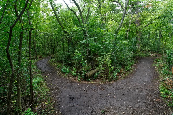 Aziz Lawrence Seaway Vadisi