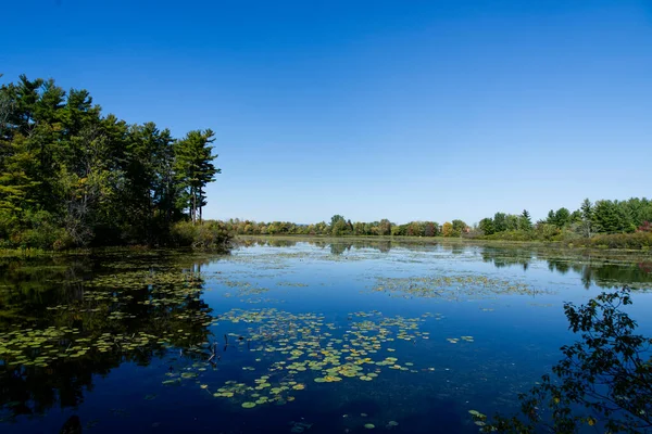 Aziz Lawrence Seaway Vadisi