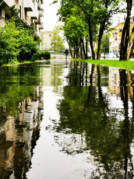 Árboles Casas Reflejándose Asfalto Húmedo Charco Después Lluvia — Foto de Stock