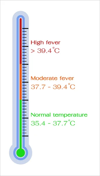 体温計は発熱体の温度計を測定します 体温は正常 中程度 高を比較します インフォグラフィックヘルスと医療情報のためのポスター — ストックベクタ