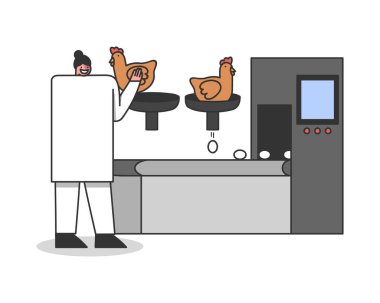 Modern kümes hayvanları çiftliğinde konveyör yumurta üretimi. Tavuk yetiştiriciliği endüstrisi