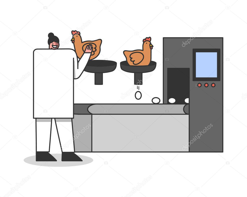 Conveyor egg production on modern poultry farm. Chicken breeding industry