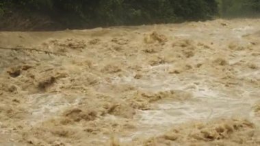 Dağ nehri taşkını. Derin kirli sular ağaçları, dalları ve çöpleri taşır..