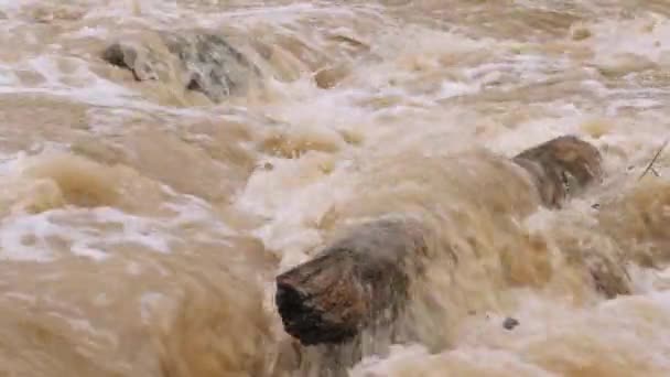 Természeti katasztrófák és szélsőséges időjárás. Dühöngő folyó piszkos vízzel — Stock videók