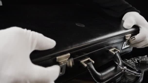 Case with fine gold bars. — Stock Video