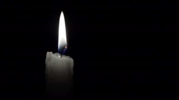 White candle on a black background — Stock Video