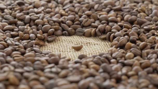 Kaffeebohnen auf dem Jutesackstoff — Stockvideo